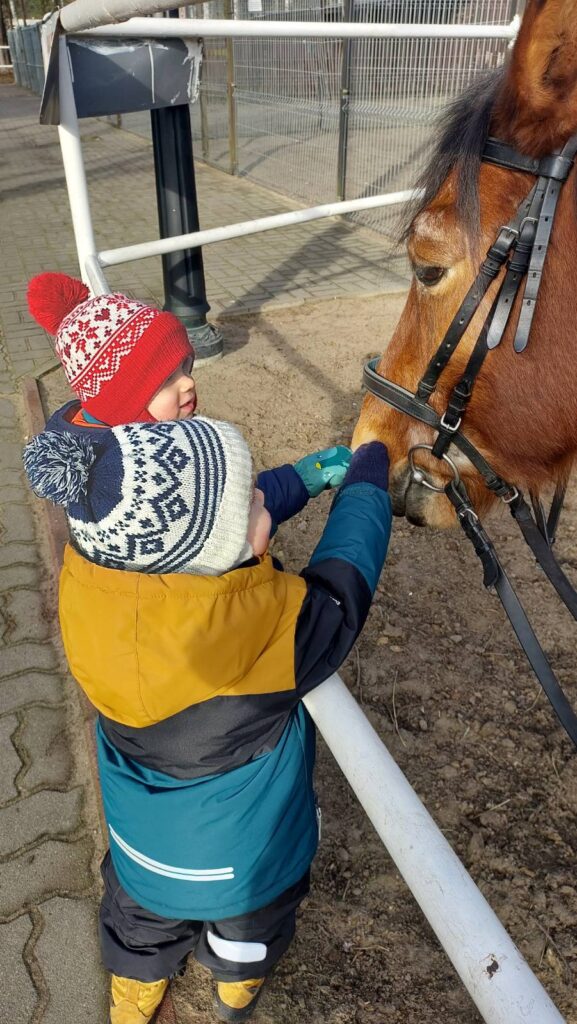 Chatka Wesołego Elfa