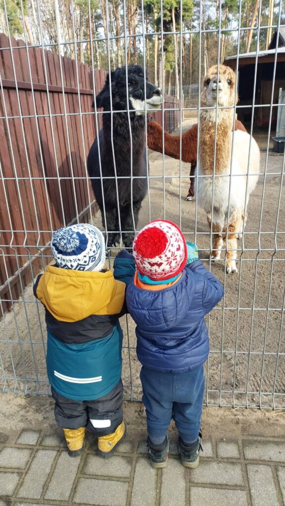 Chatka Wesołego Elfa