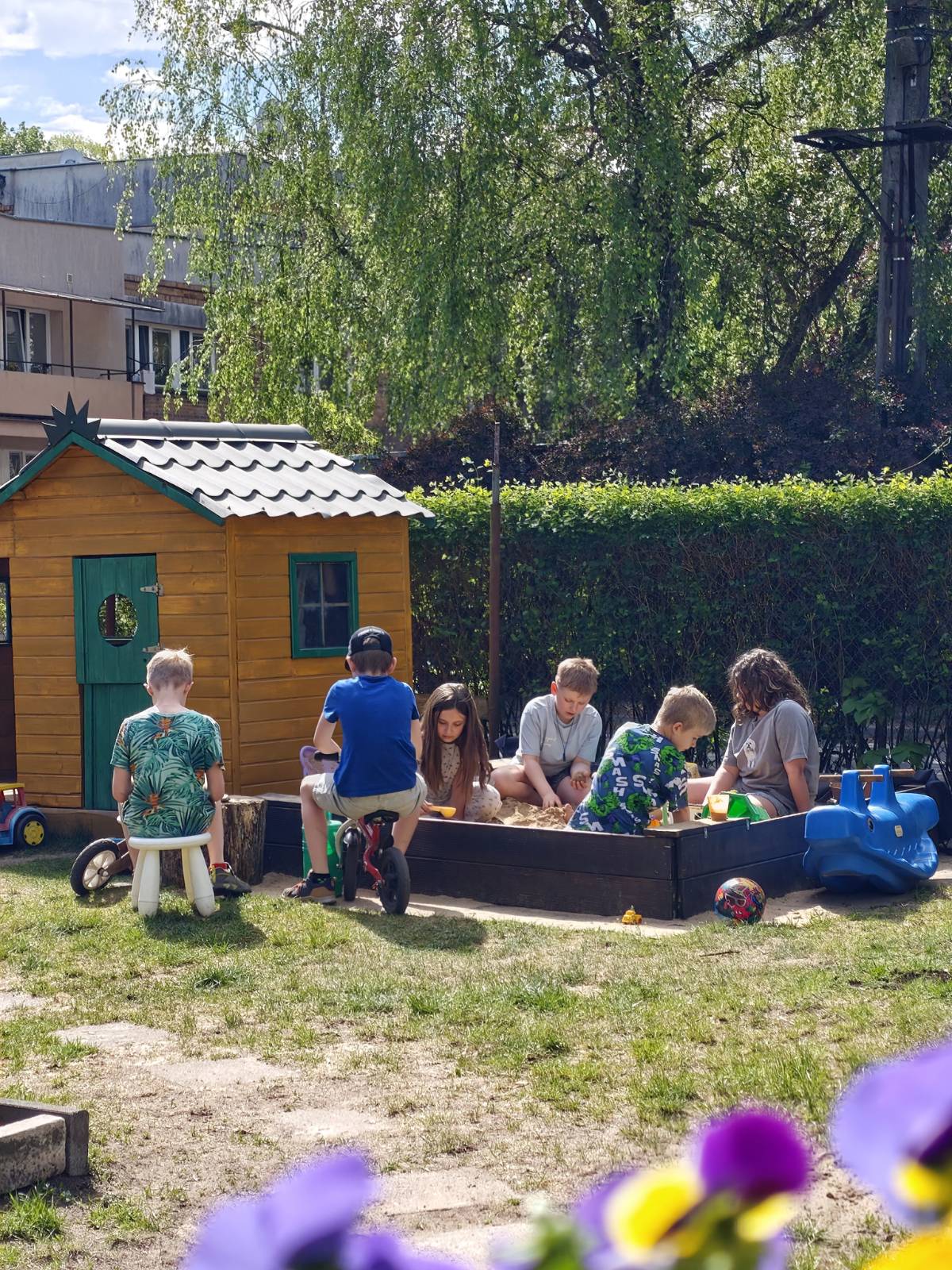 Dzieci z Domku na Drzewie bawiące się na podwórku